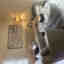 Customer photo 2 of 2