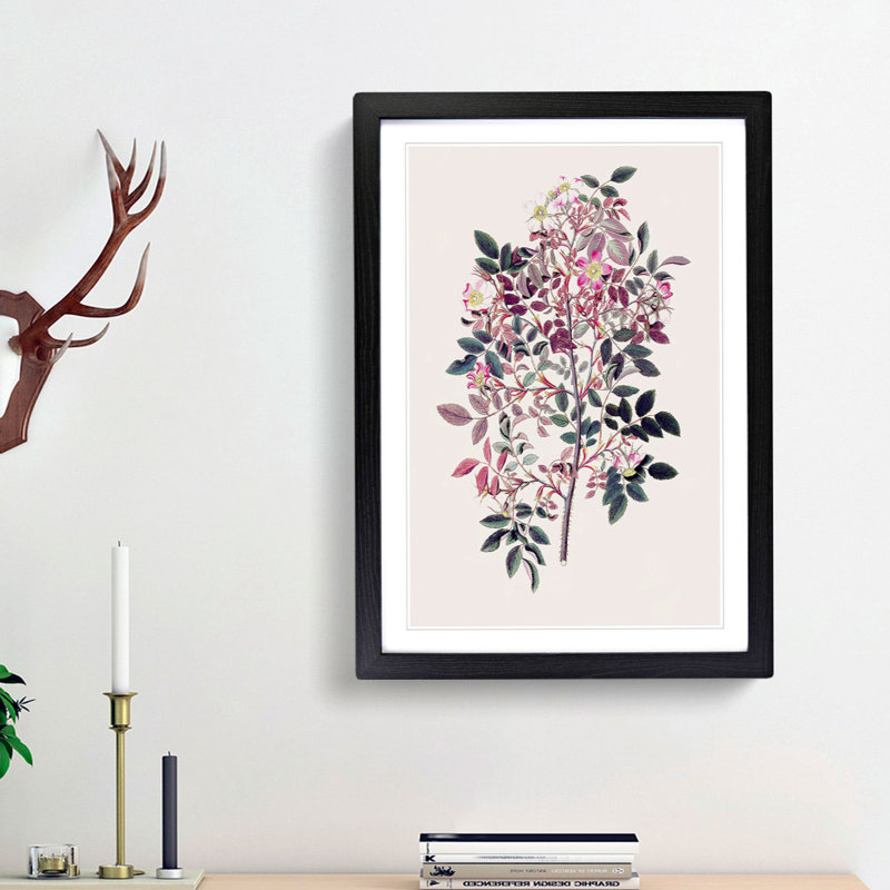 Redleaf Rose Flowers Illustration - Framed Print, 48cm H x 36cm W x 2cm D, Black Framed