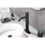 Robinet de lavabo de salle de bain - Noir mat à fixation sur comptoir pour installation moderne à 1 trou-121628376