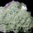 Charro Landscape & Nature Crystal