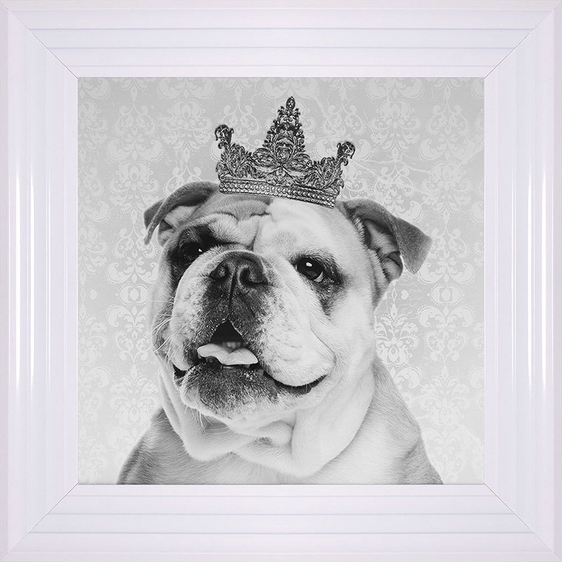 Single Picture Frame Print, 55cm H x 55cm W, White Framed