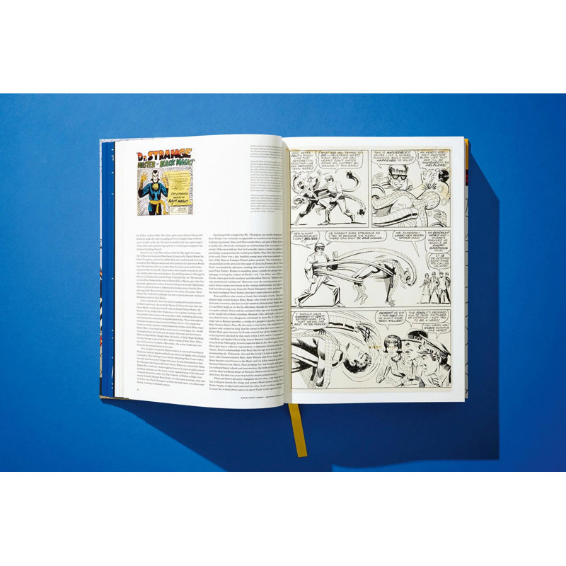 Marvel Comics Library Spider-Man Vol. 1