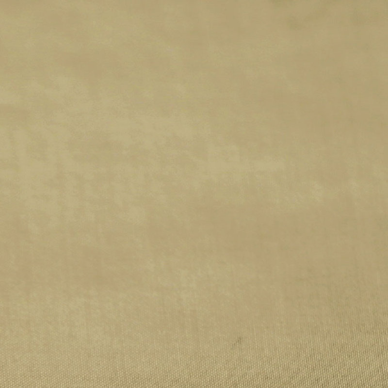 Tissu Restoration, Lin