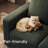 Hoelscher L-shaped Sleeper Sectional Upholstered Sofa Bed With Storage Space Green-122510077