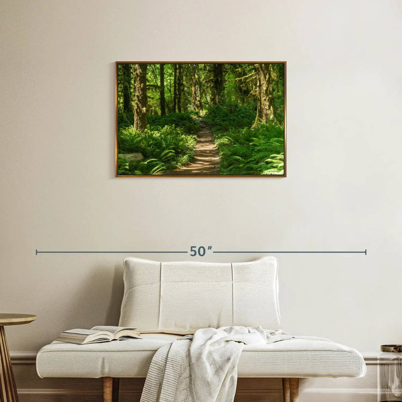 Hoh Rainforest Path, Cadre flottant doré, 31 po x 21 po