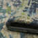 Husman Abstract Indoor Rug