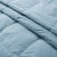 600in³/oz Fill Power All Season Down & Feather Blend Comforter-111064980