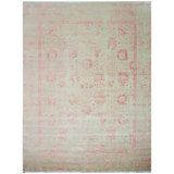 Brookhaven Oriental Area Rug in Coral/Ivory