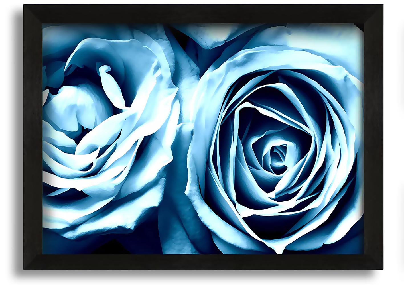 Ebern Designs Twin Blue Roses - Single Picture Frame Art Prints ...