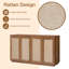 Vintage Rattan Kitchen Cabinet Storage Cabinet with Adjustable Shelves