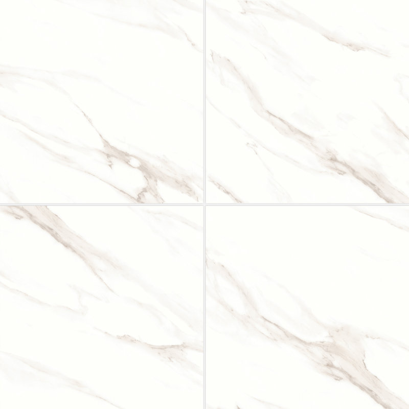 Shandar 24" x 24" Porcelain Marble Look Wall Floor Use Tile in Statuario, Polished