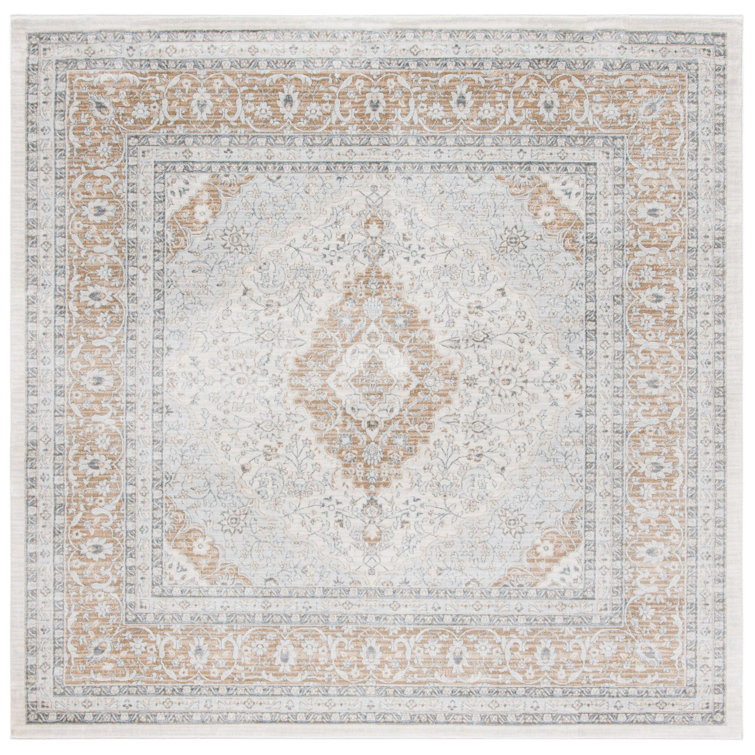 Delmer Performance Oriental Rug
