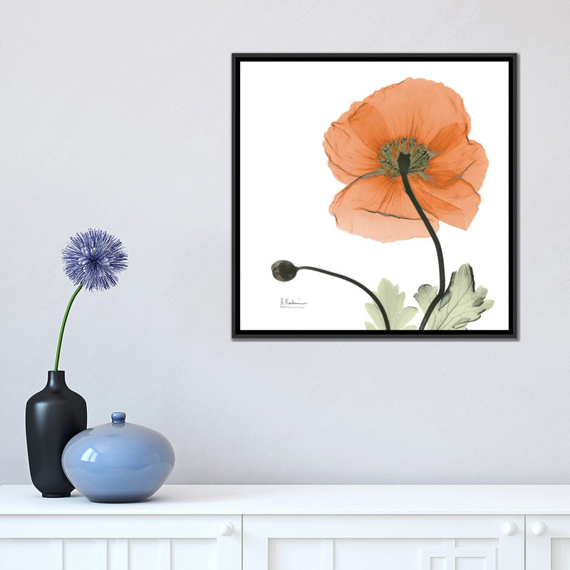 «Islande coquelicot», impression sur toile, H 18 po x l 18 po x P 1,5 po, Toile avec cadre noir, Pas de tapis