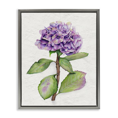 «European Style Hydrangea», art mural encadré sur toile flottante par Levison Design