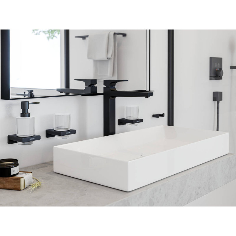 Hansgrohe AddStoris Toothbrush Tumbler, Brushed Black Chrome