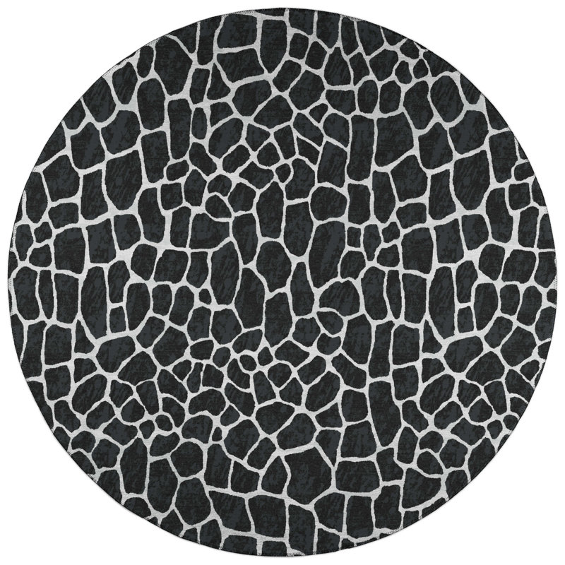 Tapis, Rond 8 pi
