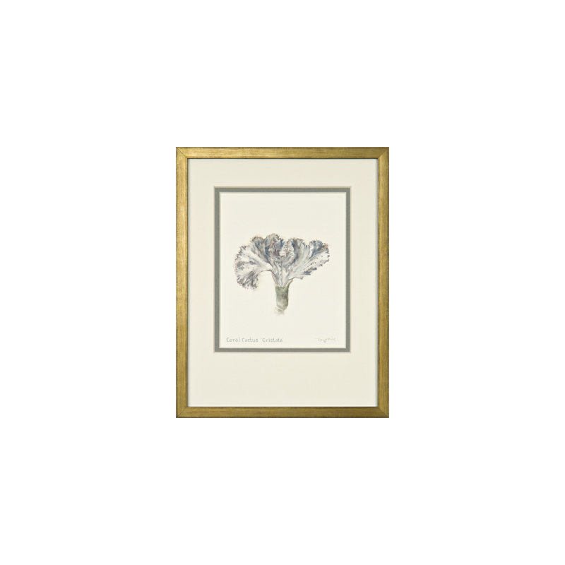 Coral Cactus "Cristata" Print by Daughdrill