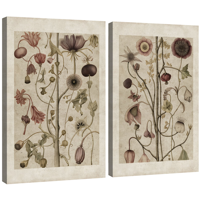 Abstract Botanical "Classic Wildflower Floral Nature Plant Framed Canvas 2 Pieces Print Wall Art, 24" H x 32" W