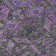 Premium Machine Washable Cerrito AMF574 Purple Rug
