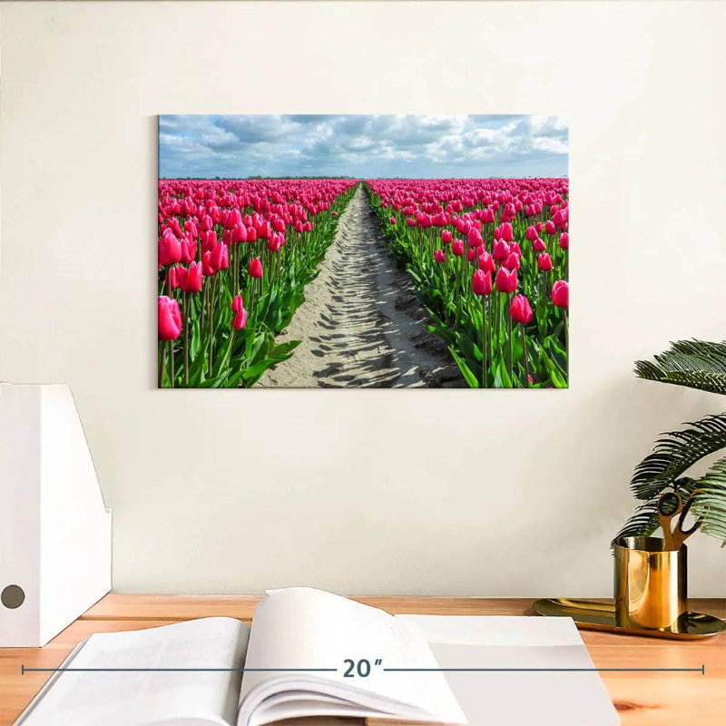 Tulipes Harnek, H 8 po x l 12 po