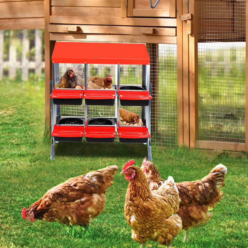 Nichoirs pour poules, poulaillers pour 6 poules pondeuses, 6 compartiments, poules pondeuses, nichoirs avec pieds, cage en acier galvanisé à 6 trous pour poules, rouge