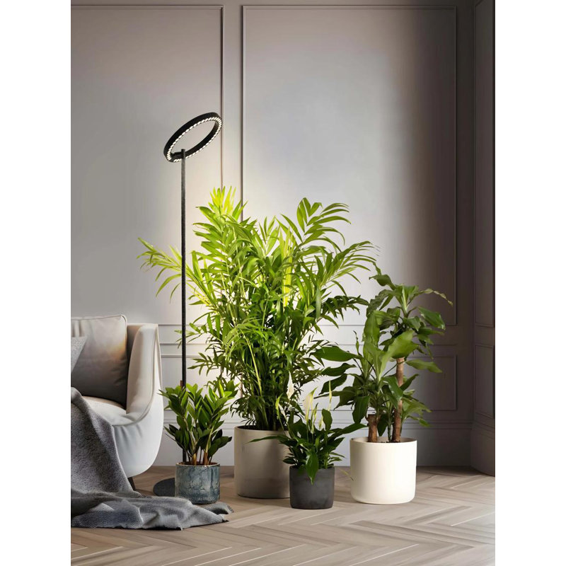 Adjustable Black LED Floor Plant Grow Lamp with Timer