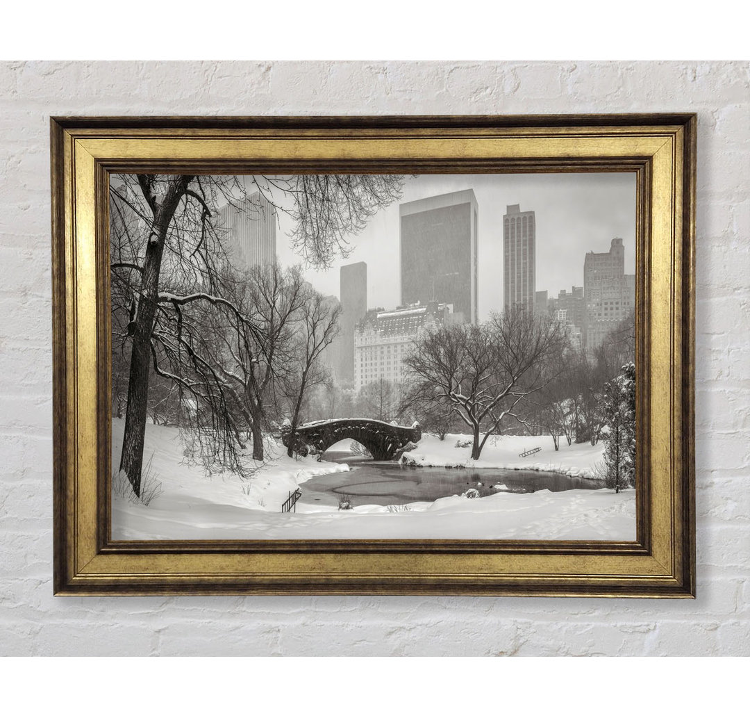 Winter Snow In Central Park - Einzelne Bilderrahmen Kunstdrucke