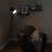 Royse 61'' Tripod Floor Lamp