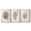 Esper Sea Fans I - reproduction sur mesure encadrée de qualité supérieure - 3 pièces-452960586