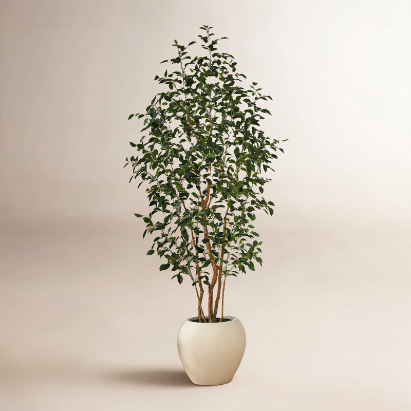 Ficus artificiel H 96 po avec pot de fleurs blanc Adcock