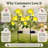 Solar Rose Garden Decorative Lights Outdoor Waterproof Artificial Flowers for Pathway Porch Backyard Memorial and Gravesite Decor-96901086