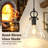 Levona 1-Light Hand-Blown Glass Cone Pendant, Adjustable Ceiling Light Fixture for Kitchen Island, Dining Room-1154476881-1242253708