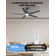 52" Emileo Ceiling Fan with LED Lights