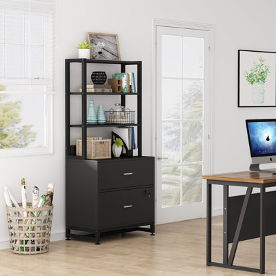 2 - Drawer Filing Storage Cabinet by Latitude Run