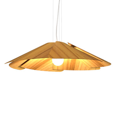 Fuchsia 1 - Light Pendant