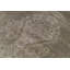 Shamas Area Rug