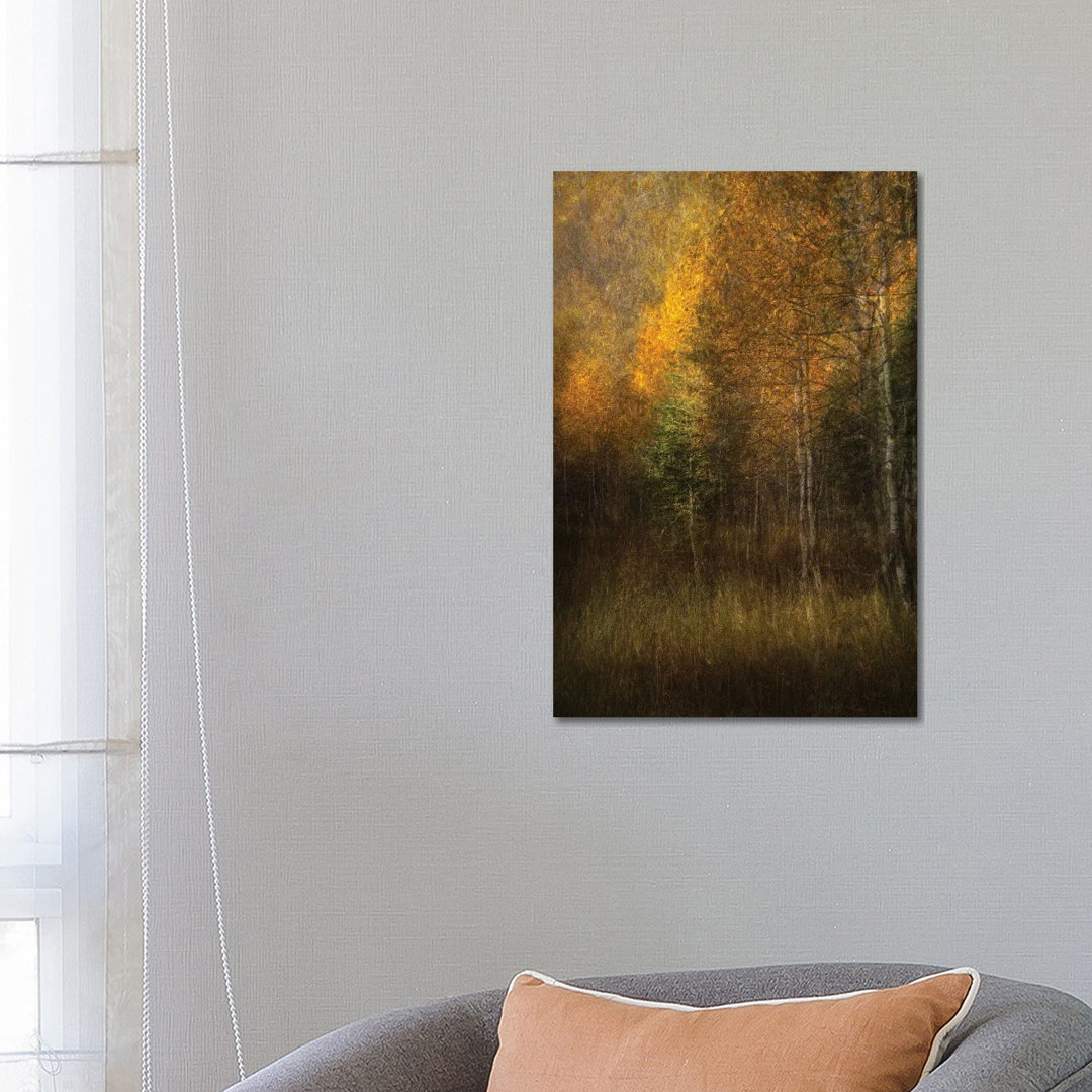 Woods von Roxana Labagnara - Giclée auf Leinwand ohne Rahmen