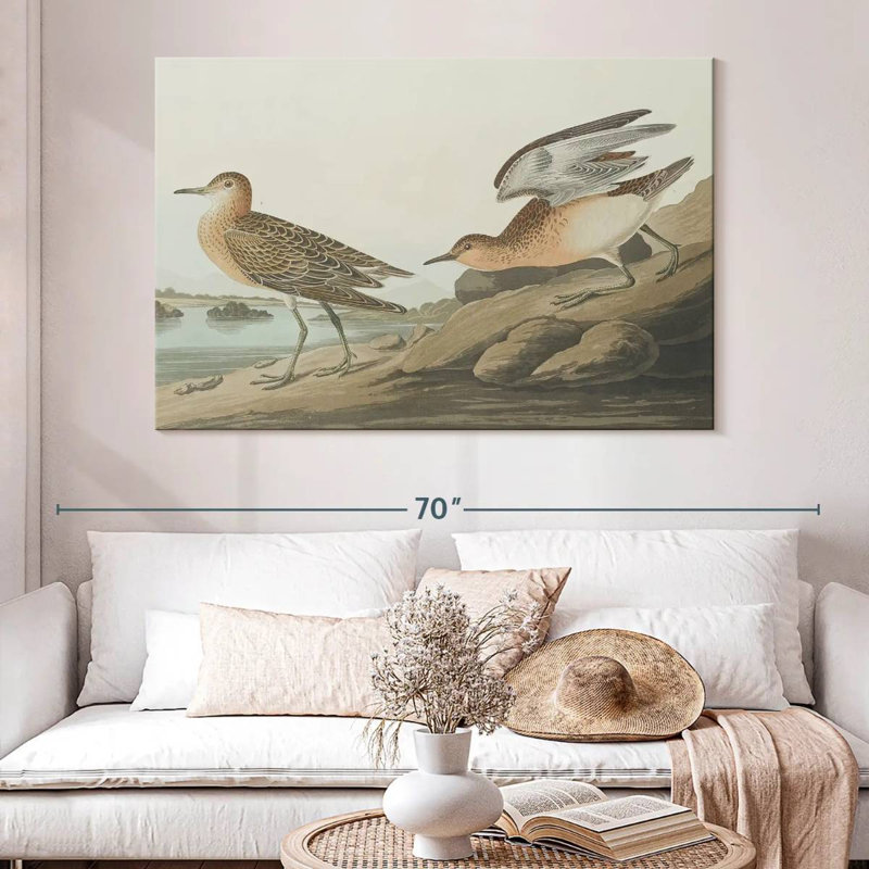 Brampt Buff Breasted Sandpiper, 34" H x 51" W