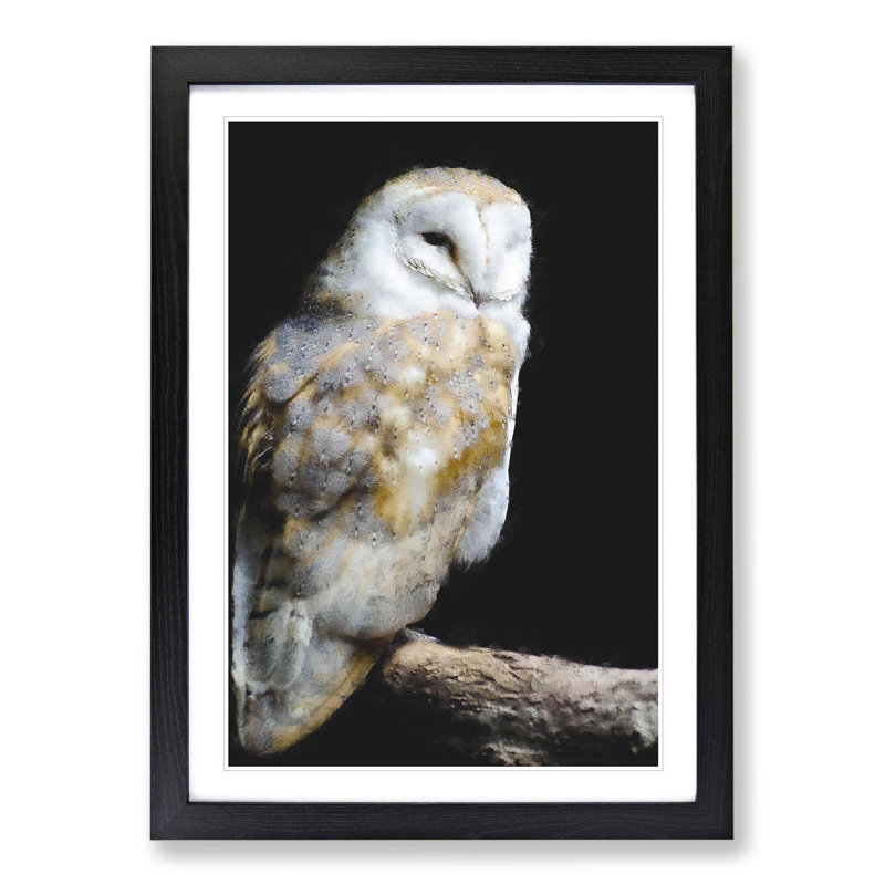 Barn Owl Vol.3 - Picture Frame Painting, 36cm H x 27cm W x 2cm D, Black Framed