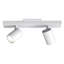 Ascoli 2 - Light Spotlight-1991895490