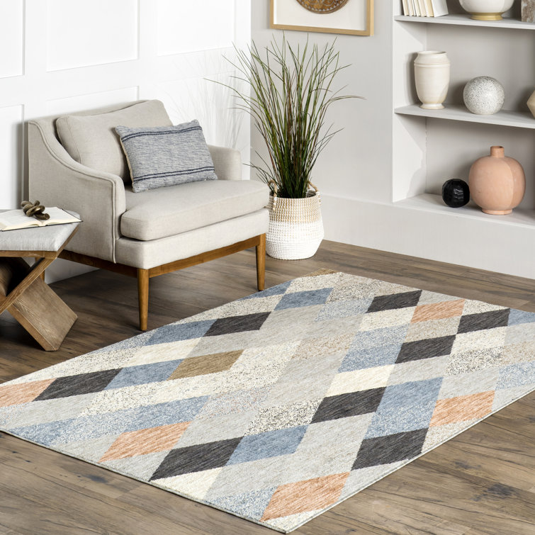 https://assets.wfcdn.com/im/24675627/resize-h755-w755%5Ecompr-r85/2225/222592262/Performance+Gray+Rug.jpg