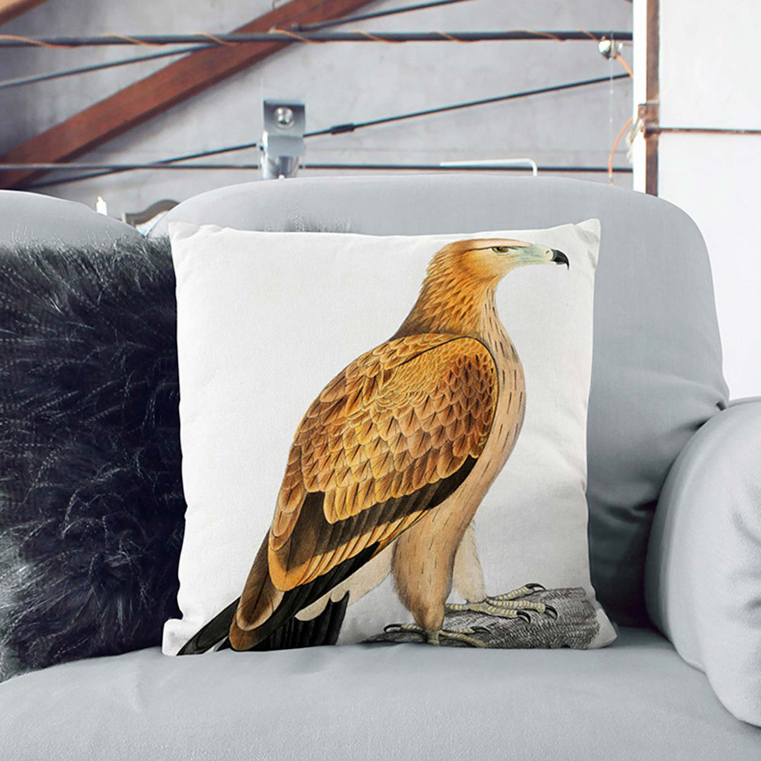 Tawny Eagle by John Edward Gray Cushion with Filling