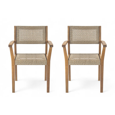 Amaris Outdoor Dining Chair(Set Of 2) by Dovecove