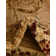Aracelia Oriental Indoor Rug