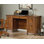 Modern Accents Computer Desk