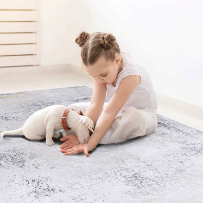 Soft Area Rug For Bedroom - Washable, Non-shedding, Cozy Ambience (grey/gold, 2'6'' X 10' Kitchen Non-slip, Stunning