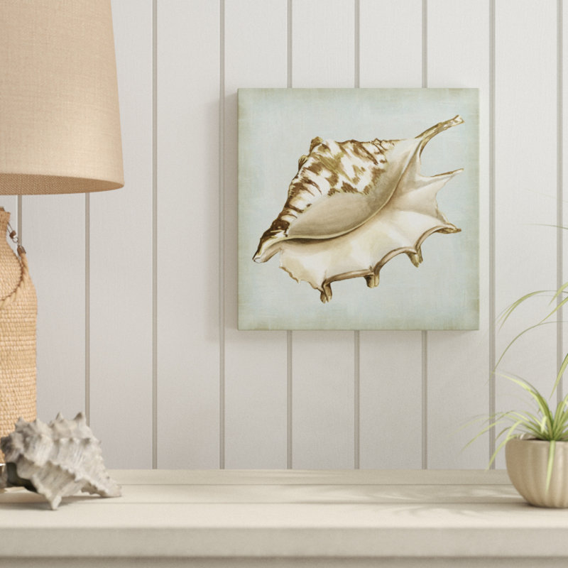Sea Dream Shells IV by Vision Studio - Wrapped Canvas Painting, 30cm H x 30cm W