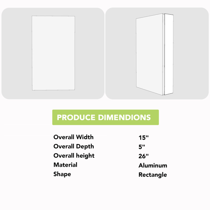 Miroir pour armoire à pharmacie Landseer, Argent, H 26 po x l 15 po x P 5 po