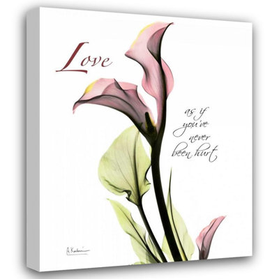 Red Barrel Studio® Koetsier, Albert Gallery Wrapped Canvas Art Titled: Calla Lily in Pink, Love