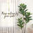 60'' Faux Pine Plant